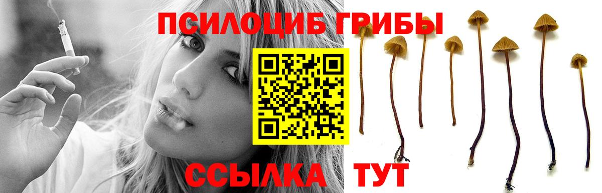Галлюциногенные грибы прущие грибы  Псилоцибиновые грибы Magic Shrooms  Ефремов  закладки  Вход с VPN 